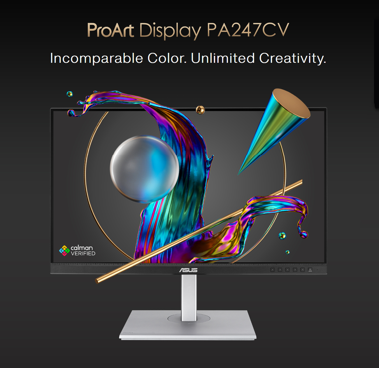 ASUS ProArt PA247CV 24